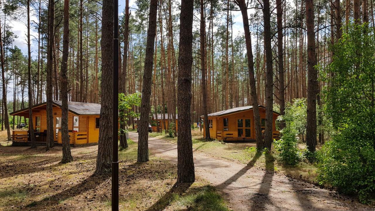 Osrodek Wypoczynkowy Nad Brda Hotell Tuchola Exteriör bild